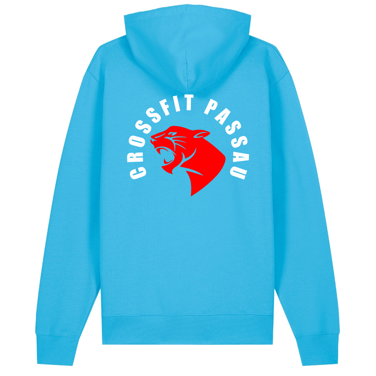 CF Passau - Unisex Hoodie V2 - Aqua Blue - Rueckseite