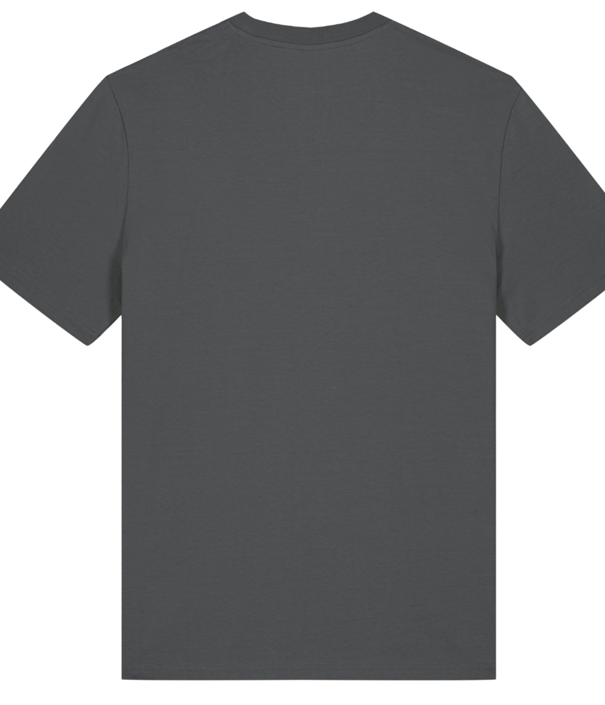 CF Leipzig - Male Shirt personalisierbar - Anthracite - Rueckseite Rohling