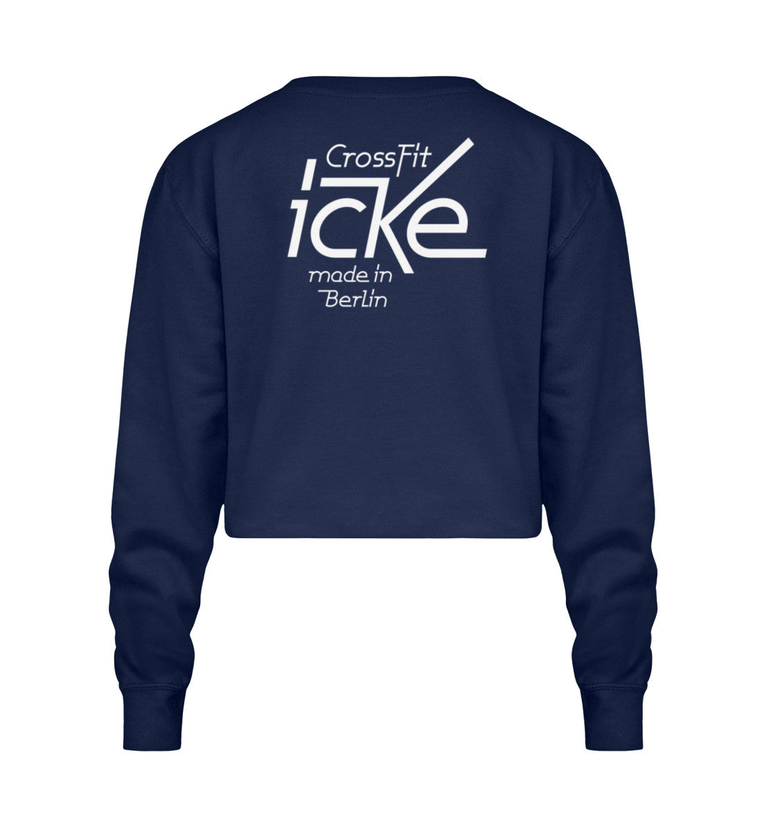 New French Navy-1676