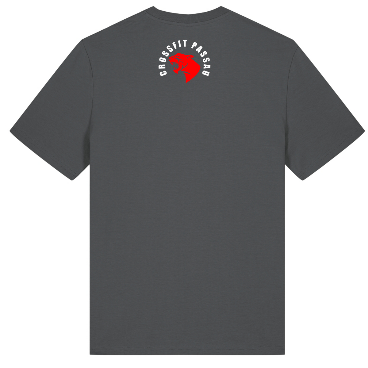 CF Passau - Male Shirt - Anthracite - Rueckseite