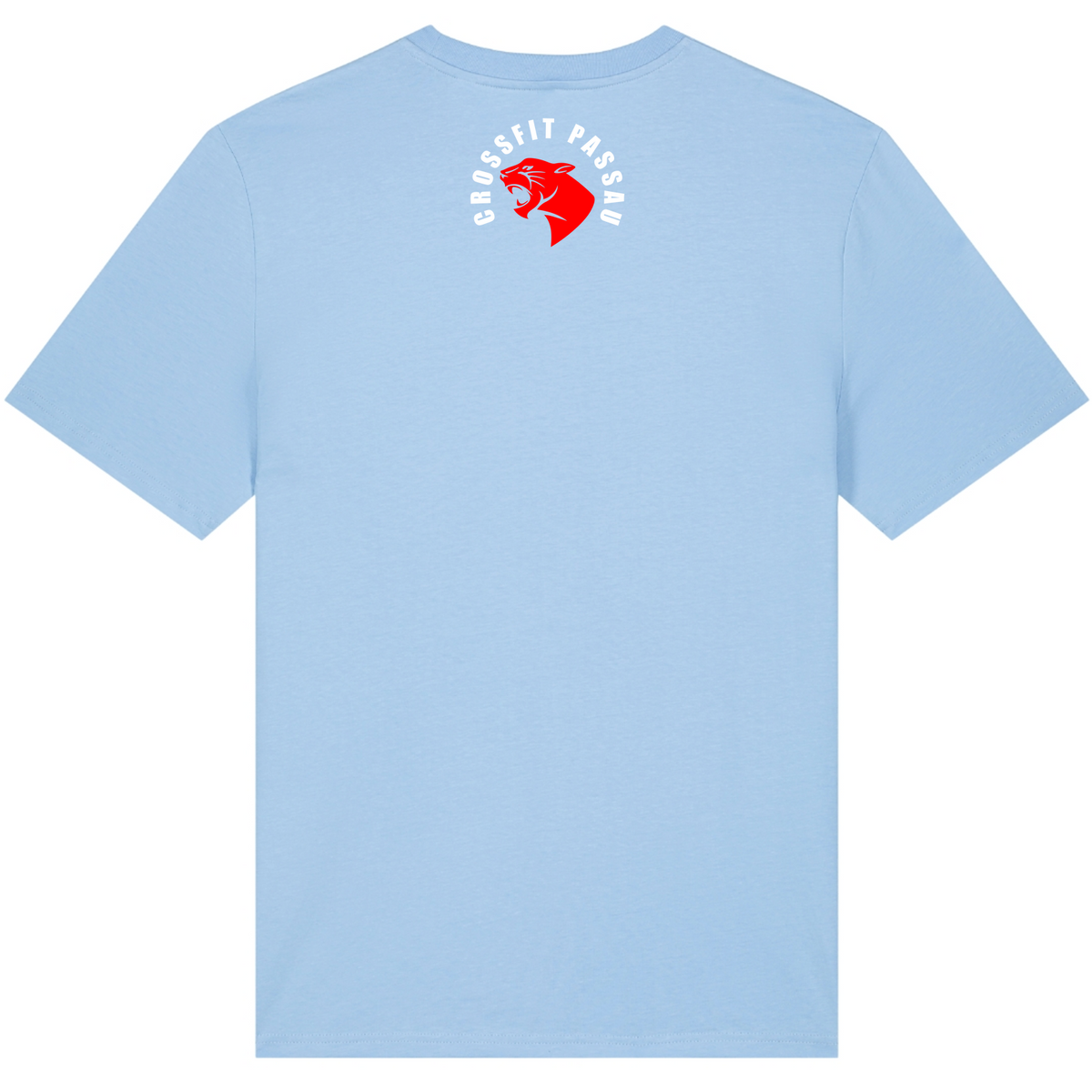 CF Passau - Male Shirt - Blue soul - Rueckseite