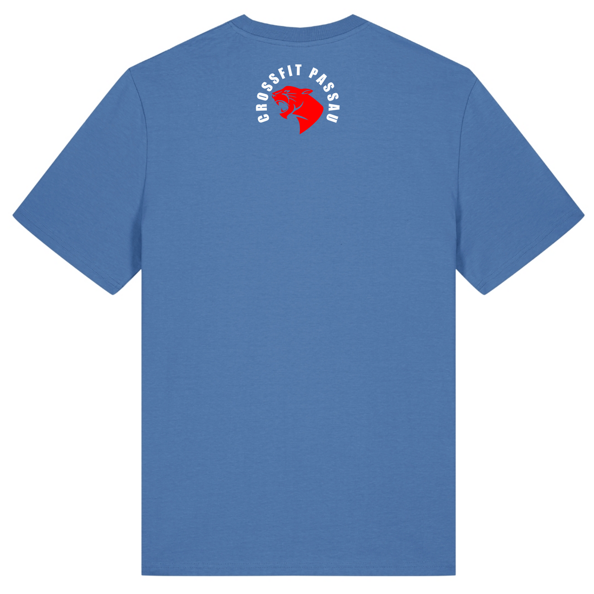 CF Passau - Male Shirt - Bright Blue - Rueckseite