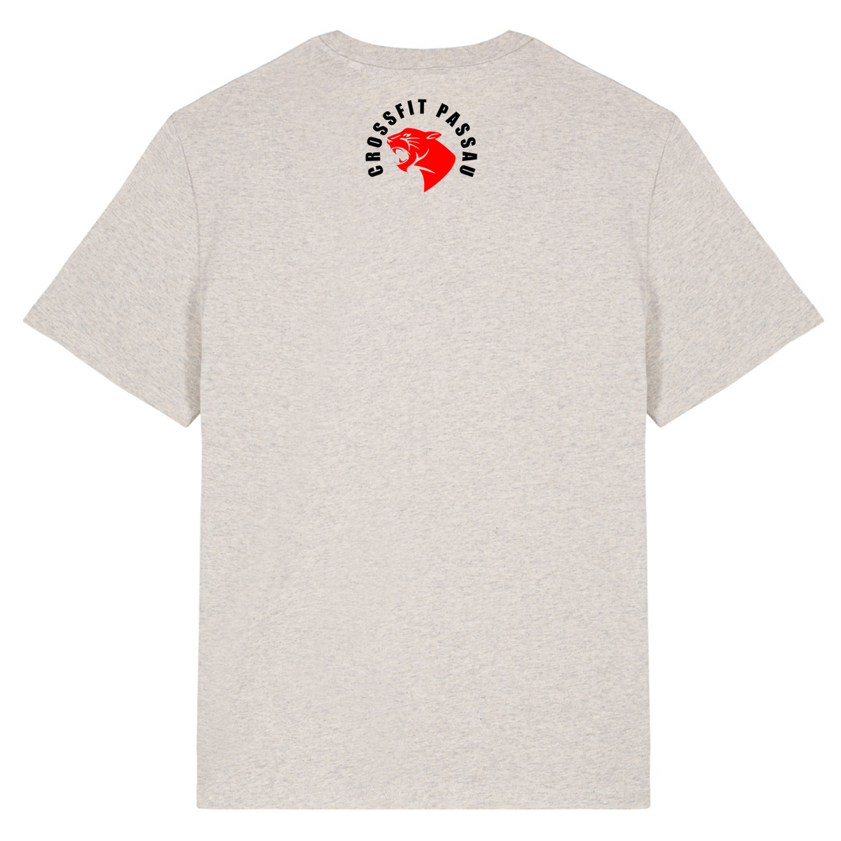 CF Passau - Male Shirt - Heather Haze Grey  - Rueckseite