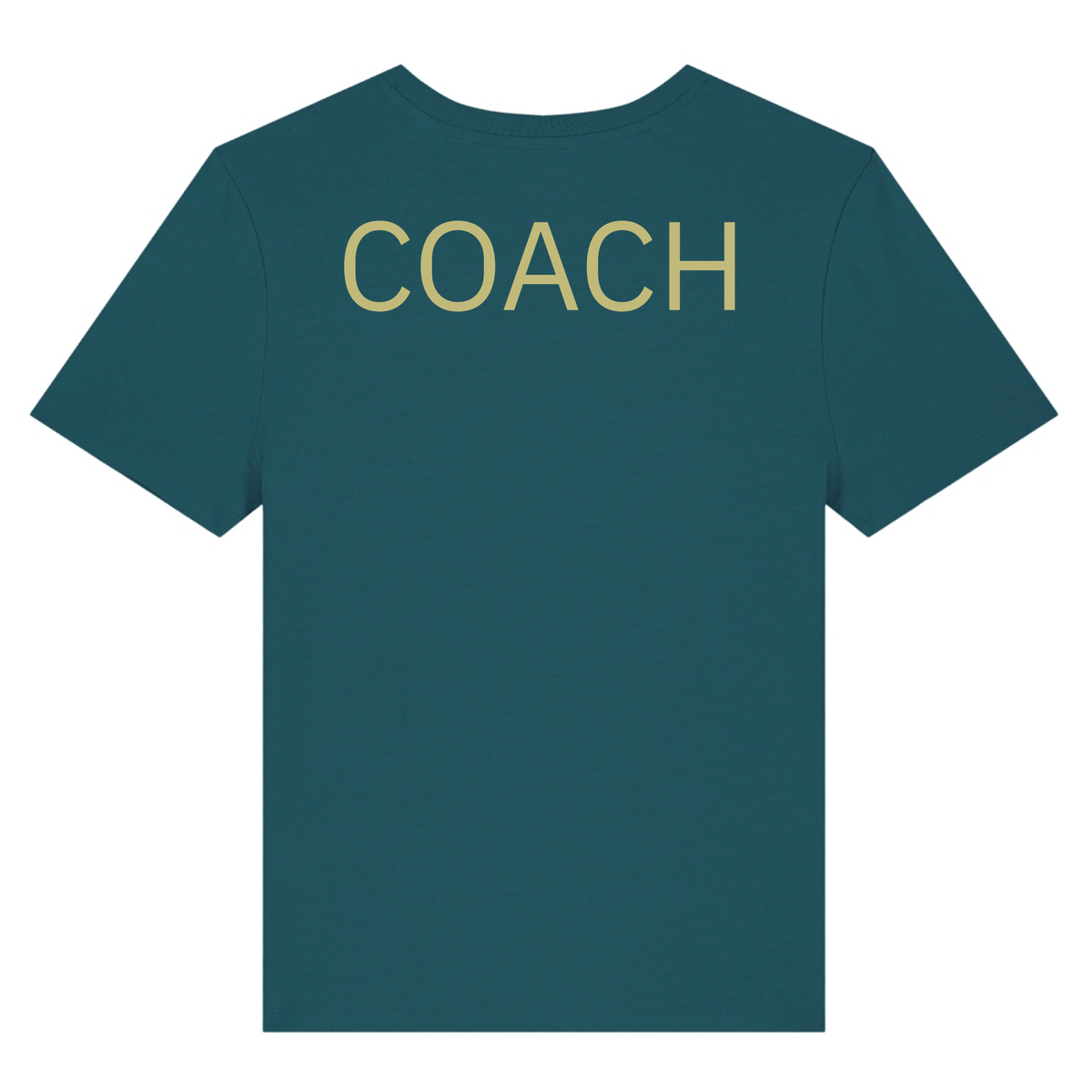 CrossFit Allgäu - Coaches Male Shirt (n) Stella Ella - Stargazer - Rueckseite