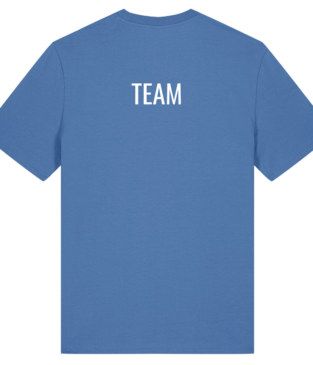 CFDU - Male Shirt personalisierbar Rücken - Bright Blue - Rueckseite